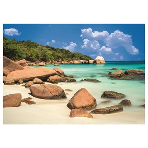 Dino (56122) - "Beach" - 2000 pezzi