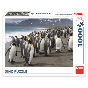 Dino (53283) - "Penguins" - 1000 pezzi