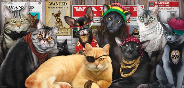 SunsOut (49012) - Lucia Guarnatta: "Cat Lineup" - 1000 pezzi