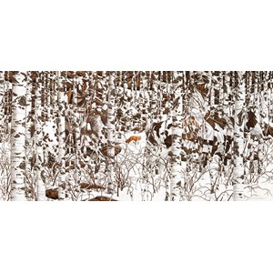 SunsOut (74415) - Bev Doolittle: "Woodland Encounter" - 1000 pezzi