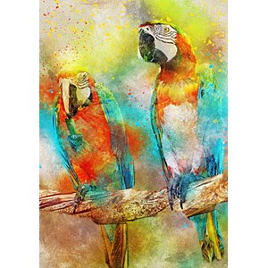 Bluebird Puzzle (70032) - "Parrots" - 1000 pezzi