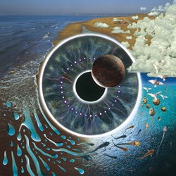 Zee Puzzle (26945) - "Pink Floyd, Pulse" - 1000 pezzi