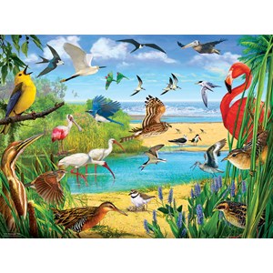 SunsOut (70028) - R. Christopher Vest: "Florida Birds" - 1000 pezzi