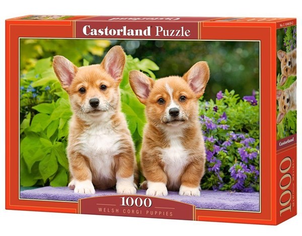 Castorland (C-104659) - "Welsh Corgi Puppies" - 1000 pezzi