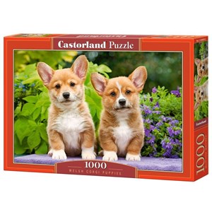 Castorland (C-104659) - "Welsh Corgi Puppies" - 1000 pezzi