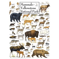MasterPieces (71974) - "Mammals of Yellowstone National Park" - 1000 pezzi