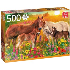 Jumbo (18851) - "Horses in the Meadow" - 500 pezzi