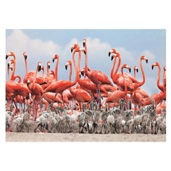 Dino (50250) - "Flamingoes" - 500 pezzi