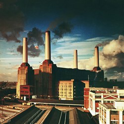 Zee Puzzle (26808) - "Pink Floyd, Animals" - 500 pezzi