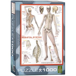 Eurographics (6000-2014) - "The Skeletal System" - 1000 pezzi