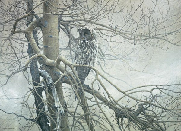 Cobble Hill (51769) - Robert Bateman: "Ghost of the North" - 1000 pezzi