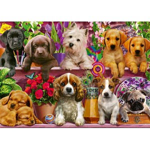 Schmidt Spiele (58973) - "Dogs on a Shelf" - 500 pezzi