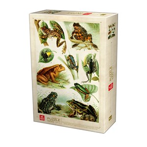 Deico (75703) - "Frogs" - 1000 pezzi