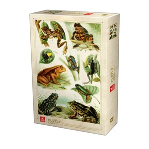 Deico (75703) - "Frogs" - 1000 pezzi