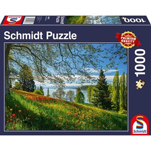 Schmidt Spiele (58967) - "Tulips Field, Mainau Island" - 1000 pezzi