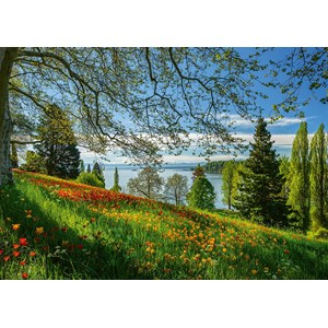 Schmidt Spiele (58967) - "Tulips Field, Mainau Island" - 1000 pezzi