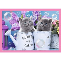 Trefl (34330) - "Kittens" - 35 48 54 70 pezzi