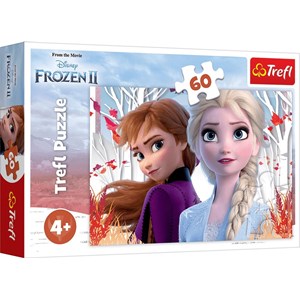 Trefl (17333) - "Frozen II" - 60 pezzi