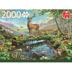 Jumbo (18357) - "Wildlife Splendour" - 2000 pezzi