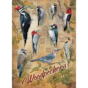 Cobble Hill (85007) - Susan Bourdet: "Notable Woodpeckers" - 500 pezzi