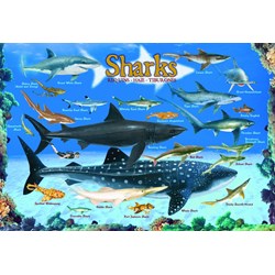 Eurographics (6100-0079) - "Sharks" - 100 pezzi