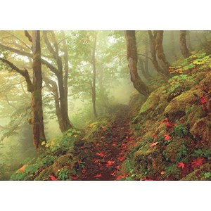 Heye (29519) - "Path" - 1000 pezzi