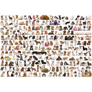 Eurographics (8220-0581) - "The World of Dogs" - 2000 pezzi