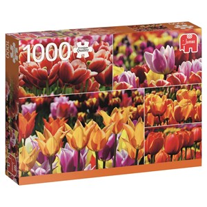 Jumbo (18364) - "Holland Tulips" - 1000 pezzi