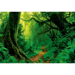 Educa (17098) - "Enchanted Forest" - 1000 pezzi