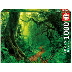 Educa (17098) - "Enchanted Forest" - 1000 pezzi