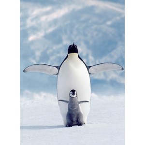 Eurographics (6000-1246) - "Penguin & Chick" - 1000 pezzi