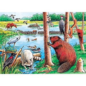 Cobble Hill (58802) - "The Beaver Pond" - 35 pezzi