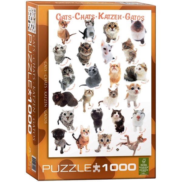 Eurographics (6000-1511) - "Cat Breeds" - 1000 pezzi