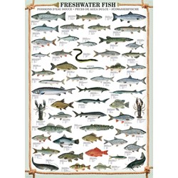 Eurographics (6000-0312) - "Freshwater Fish" - 1000 pezzi