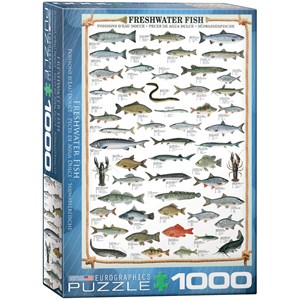 Eurographics (6000-0312) - "Freshwater Fish" - 1000 pezzi