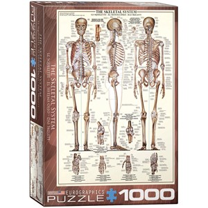 Eurographics (6000-3970) - "The Skeletal System" - 1000 pezzi
