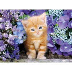 Clementoni (30415) - "Ginger Cat in Flowers" - 500 pezzi