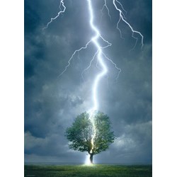 Eurographics (6000-4570) - "Lightning Striking Tree" - 1000 pezzi