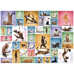 Eurographics (6000-0953) - "Yoga Cats" - 1000 pezzi