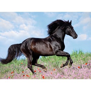 Ravensburger (12803) - "Beautiful Horse" - 200 pezzi
