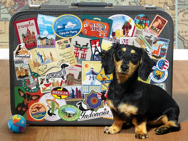 Cobble Hill (52107) - "Dachshund 'Round the World" - 500 pezzi