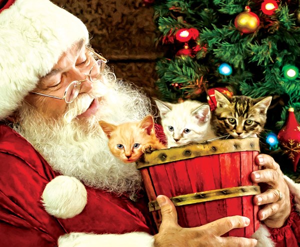 SunsOut (39421) - Larry Hersberger: "A Barrel of Fun" - 1000 pezzi