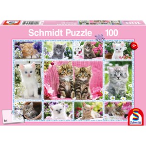 Schmidt Spiele (56135) - "Kittens" - 100 pezzi