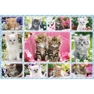 Schmidt Spiele (56135) - "Kittens" - 100 pezzi