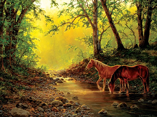 SunsOut (48851) - Chris Cummings: "Still Water Setting" - 1000 pezzi