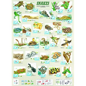 Eurographics (6000-2610) - "Snakes" - 1000 pezzi