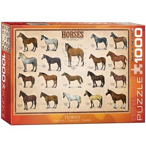 Eurographics (6000-0078) - "Horses" - 1000 pezzi