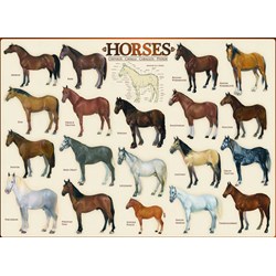 Eurographics (6000-0078) - "Horses" - 1000 pezzi