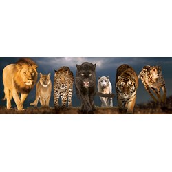 Eurographics (6010-0297) - "Big Cats" - 1000 pezzi