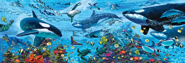 SunsOut (80119) - John Enright: "Arctic Vista" - 500 pezzi